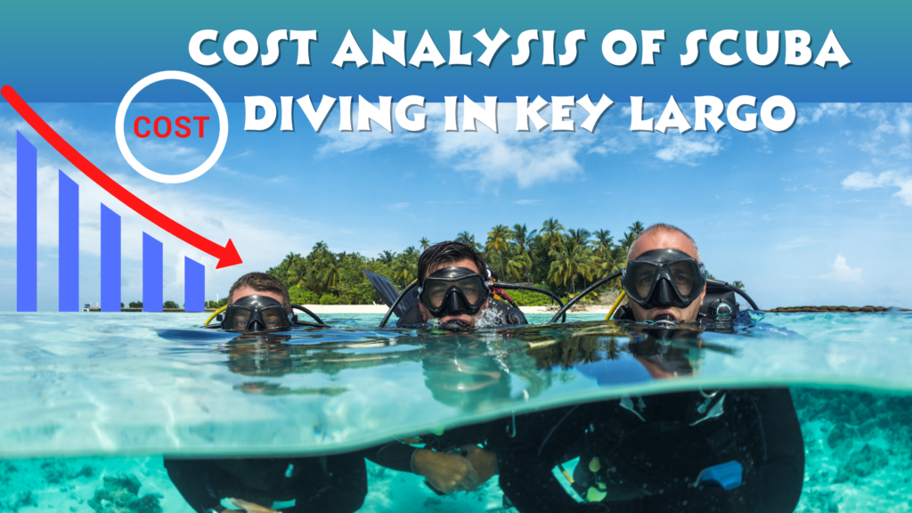 Cost Analysis of Scuba Diving In Key Largo