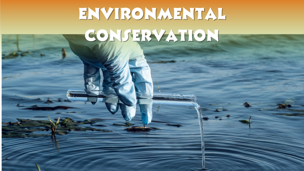 Environmental Conservation In Key Largo