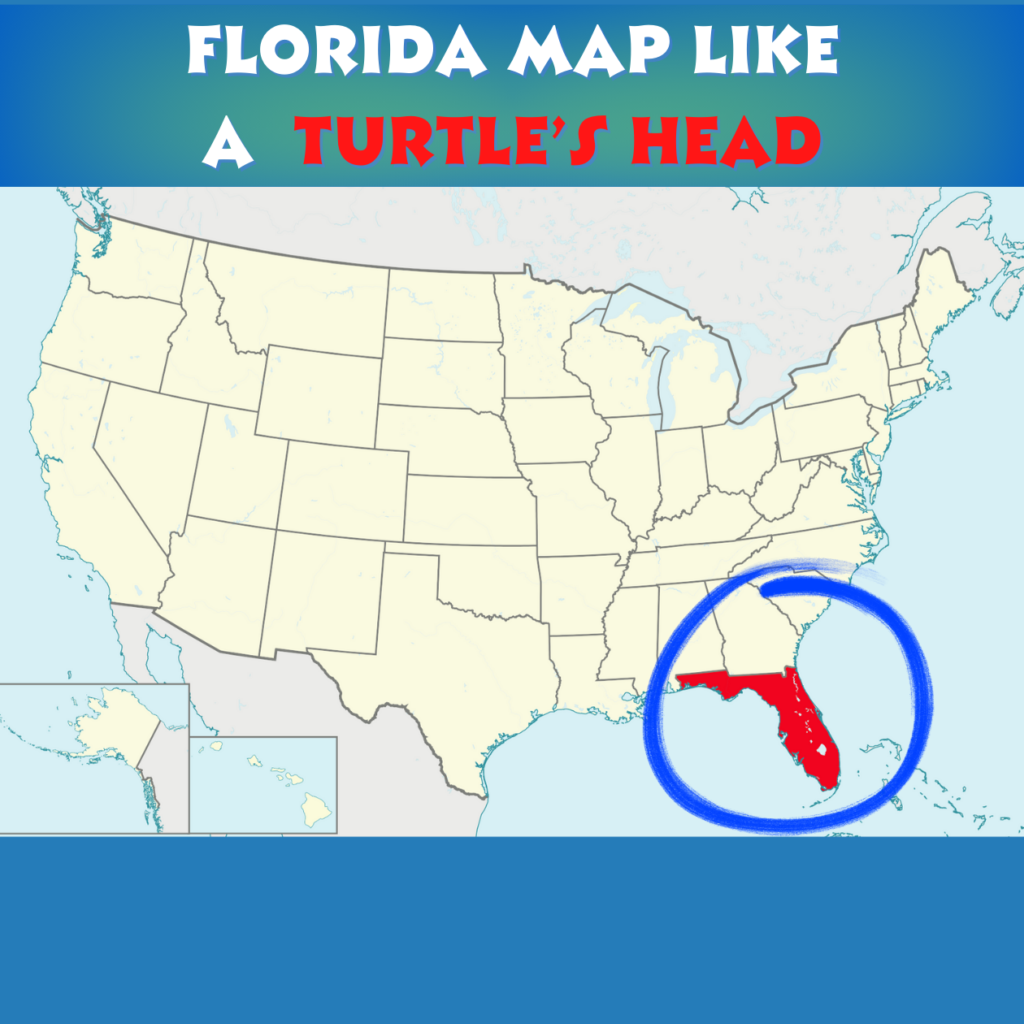 Florida Map Like a turtle's head