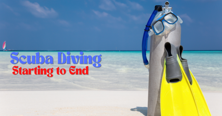 Exploring the Best Scuba Diving in Florida: 01 Complete Guide from Adventure to Conservation