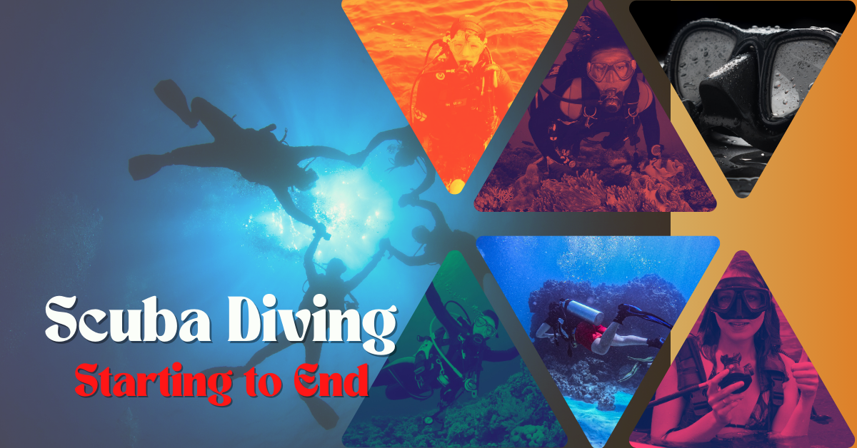 Best Scuba Diving in Florida