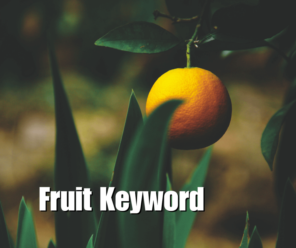 how to find low hanging fruit keywords